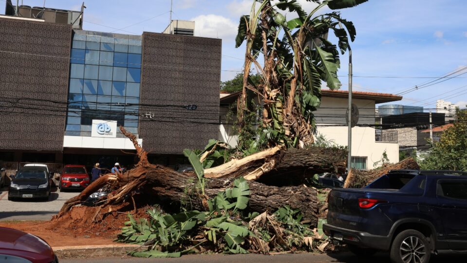 Enel sinaliza enterramento da rede elétrica em SP após ameaça de rompimento de contrato