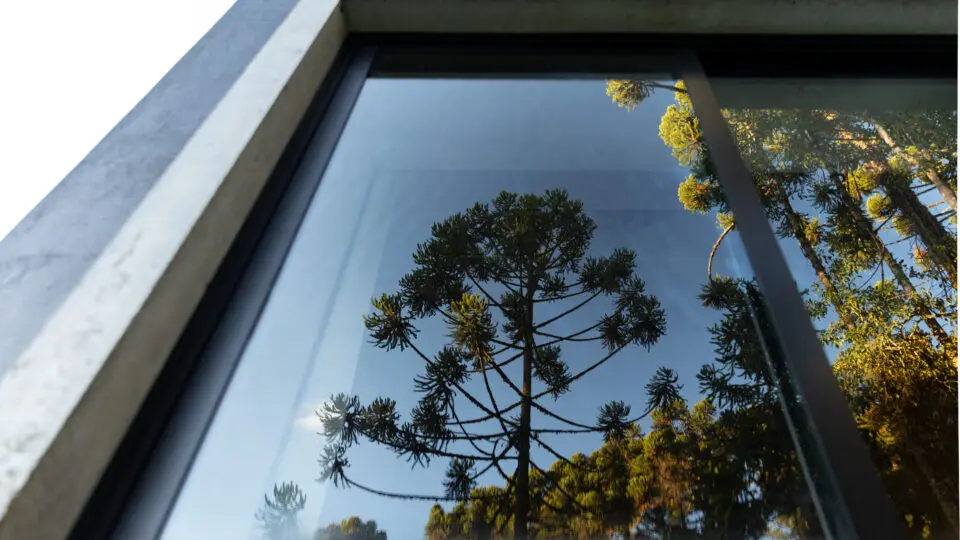 Em Campos do Jordão, o projeto se molda às araucárias existentes e transforma a paisagem serrana em elemento central da arquitetura.