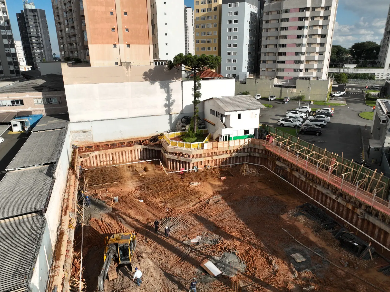 Integrada ao desenho do residencial, a Araucária transforma o terreno em refúgio urbano no coração de Curitiba.