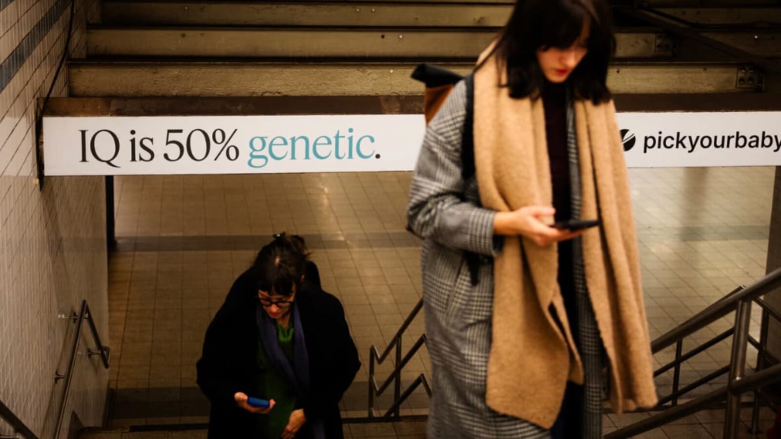 Imagem Referente a matéria