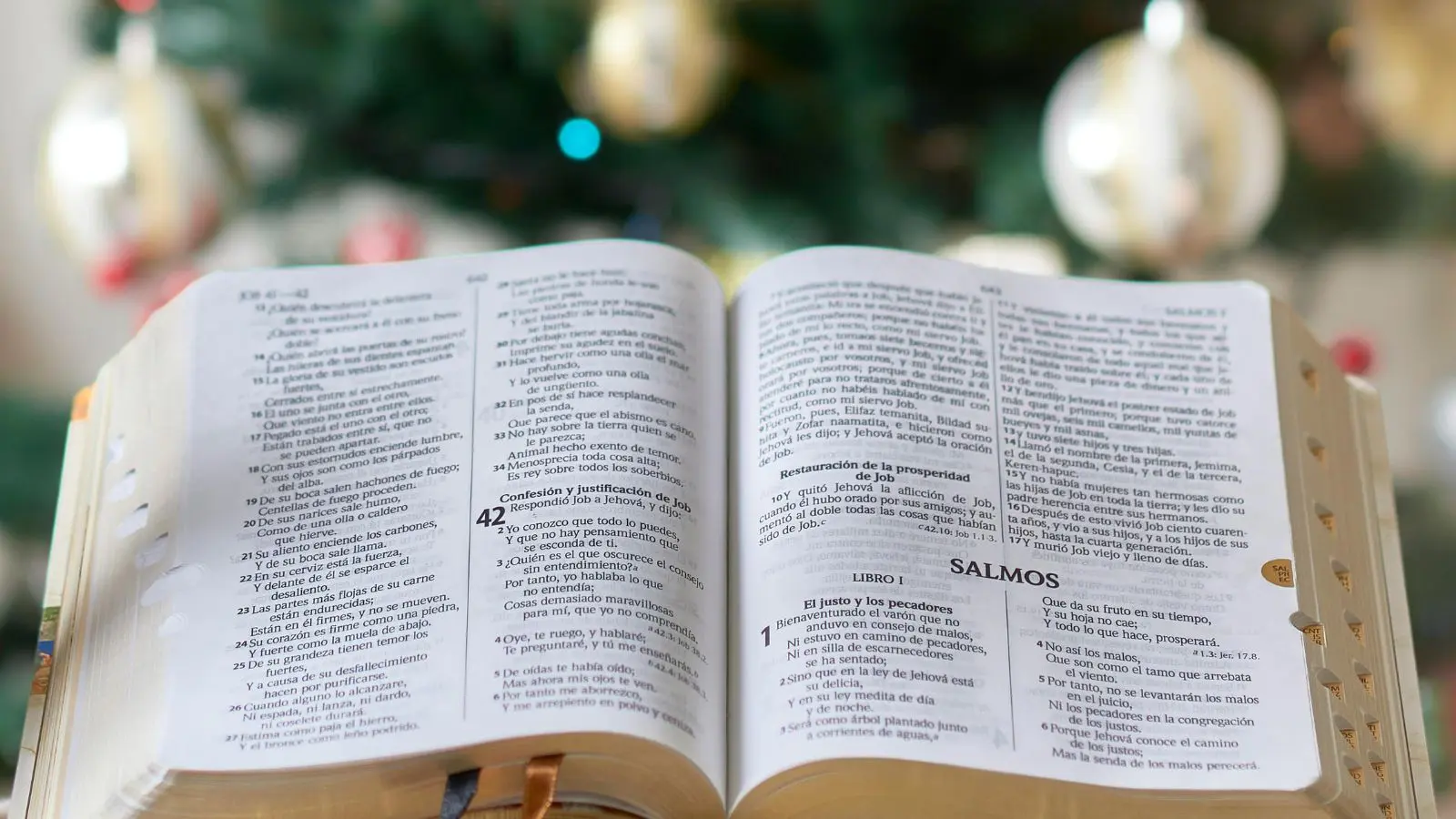 O espírito natalino é uma maneira de se conectar com a fé, com esperança de renovação.