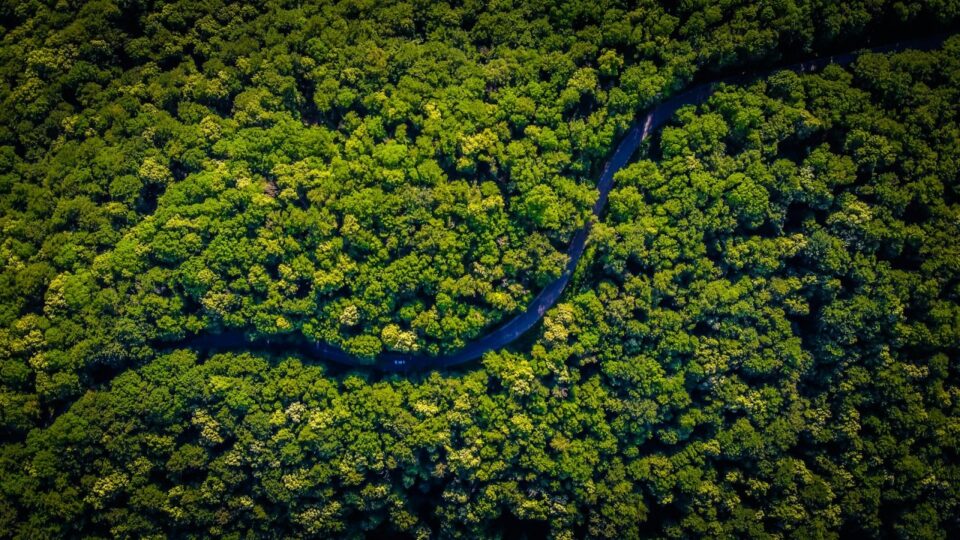 A nova virada do Brasil: por que o futuro do Amazonas pode antecipar o futuro do país