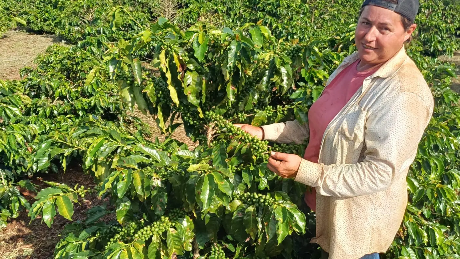 No oeste do Paraná, Cida encontrou no café especial um caminho de permanência, aprendizado e fé.