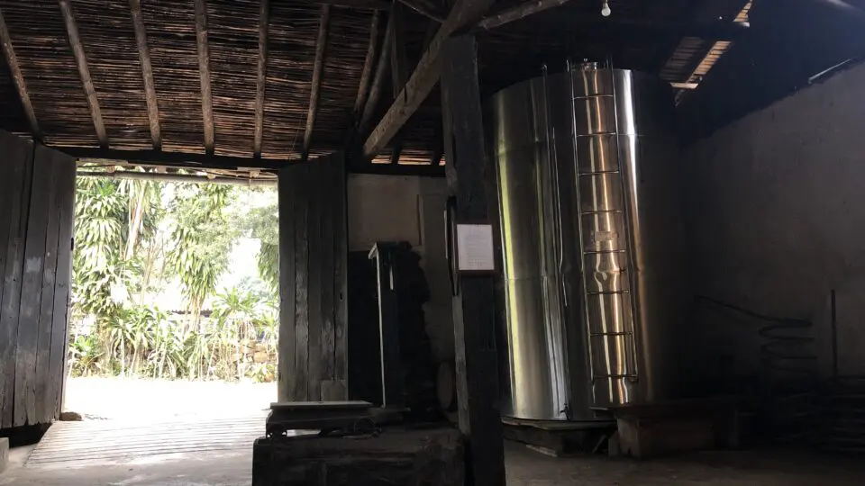 Da cana ao copo, o processo exige tempo e rigor: mais de uma tonelada de cana, fermentação natural, fogo direto no cobre e meses de espera até a cachaça ficar pronta.