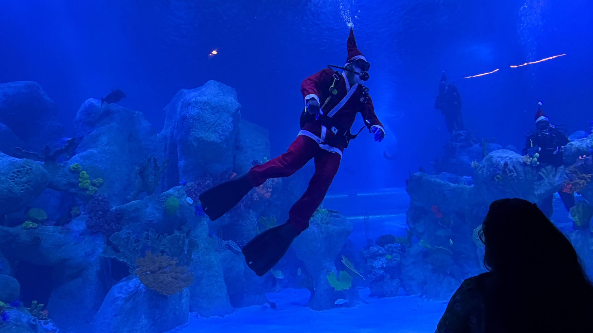 Papai Noel mergulha no Grande Tanque Oceânico do AquaFoz, em apresentação subaquática que integra a programação especial de fim de ano e une encantamento e educação ambiental.