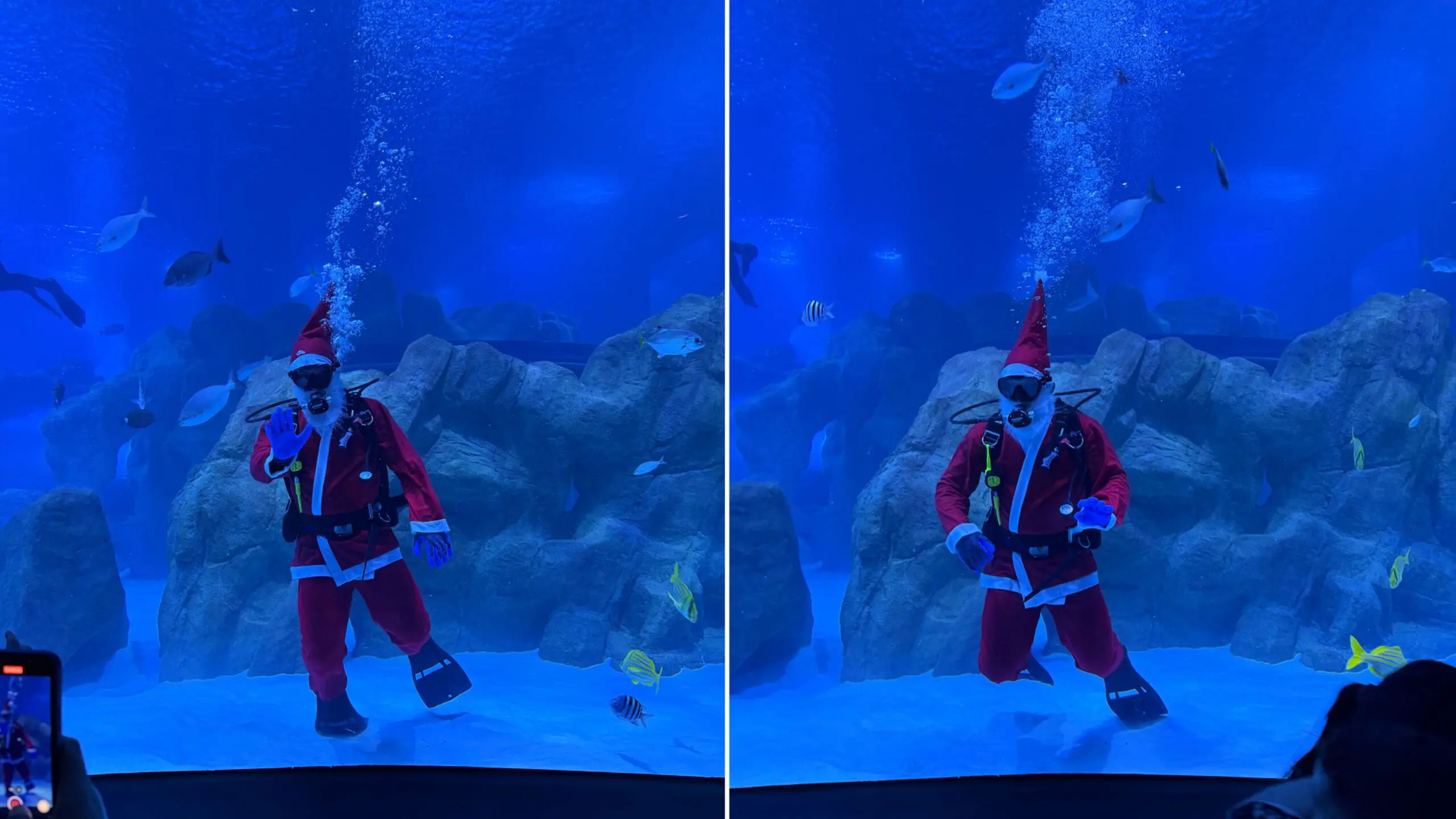 Com traje e equipamentos de mergulho, o Papai Noel interage com o público no tanque oceânico do AquaFoz, reforçando a proposta educativa e lúdica da programação especial de Natal.