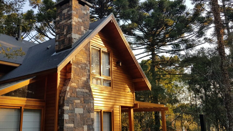 De obstáculo a estrela: araucária vira peça central em imóveis de luxo