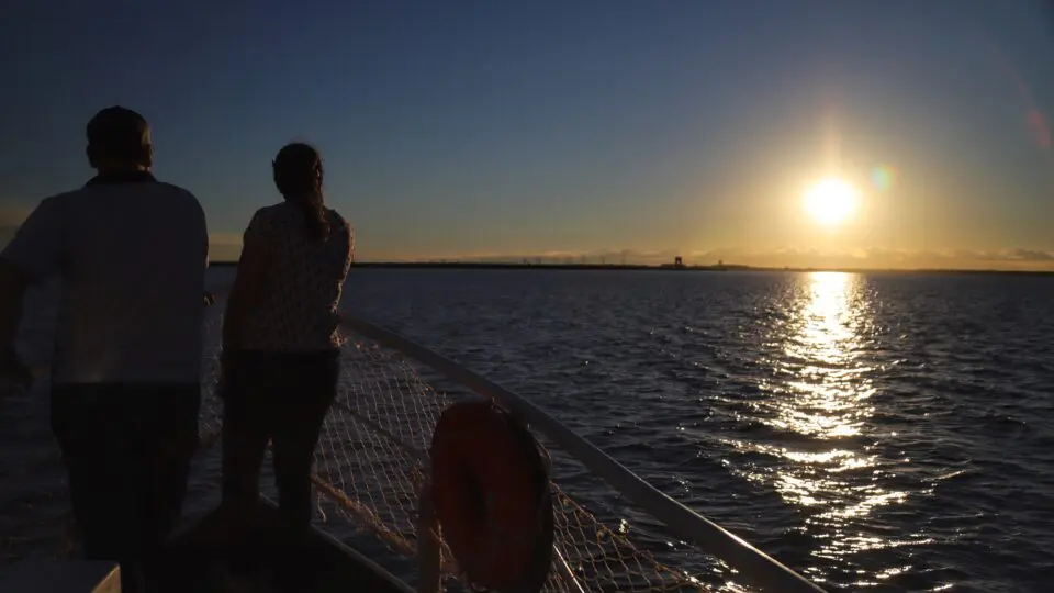 Com 170 quilômetros de extensão e um dos maiores volumes de água represados do mundo, o Lago de Itaipu desponta como base estratégica para a criação de tilápias.