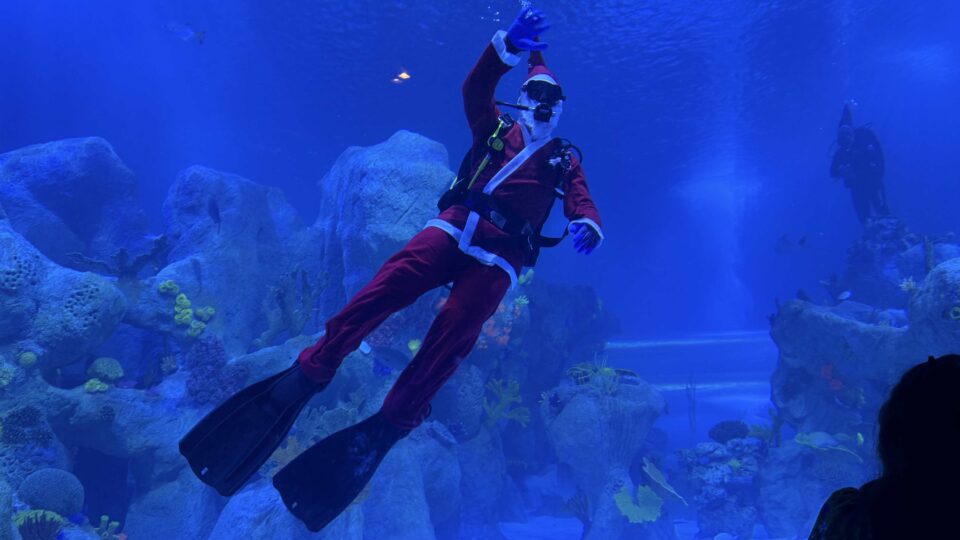 Papai Noel mergulha no aquário de Foz do Iguaçu