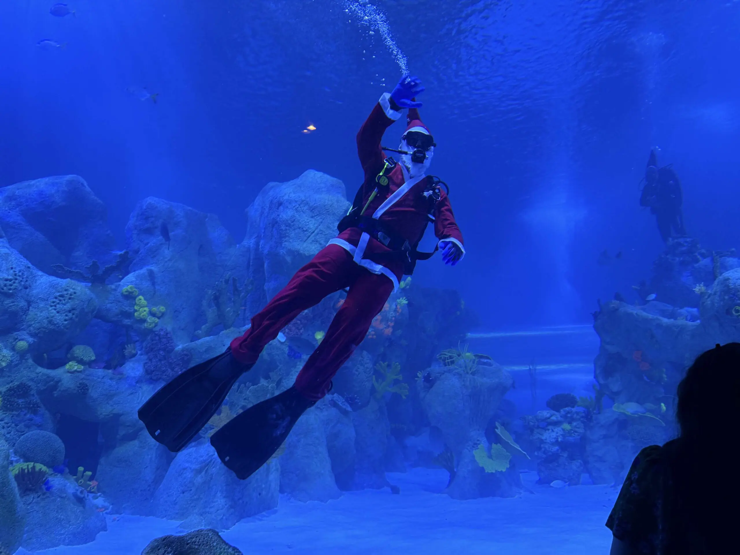 Aquário, Foz do Iguaçu, Natal