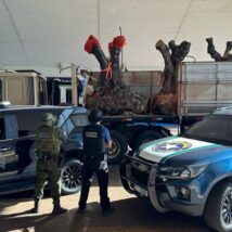 Imagem referente a matéria