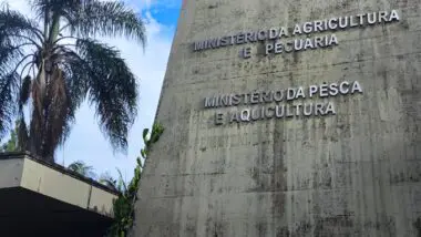 Servidores federais afirmam que posto é estratégico para rumo do estado, um dos principais polos do agronegócio.