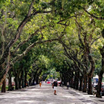 Imagem referente a matéria