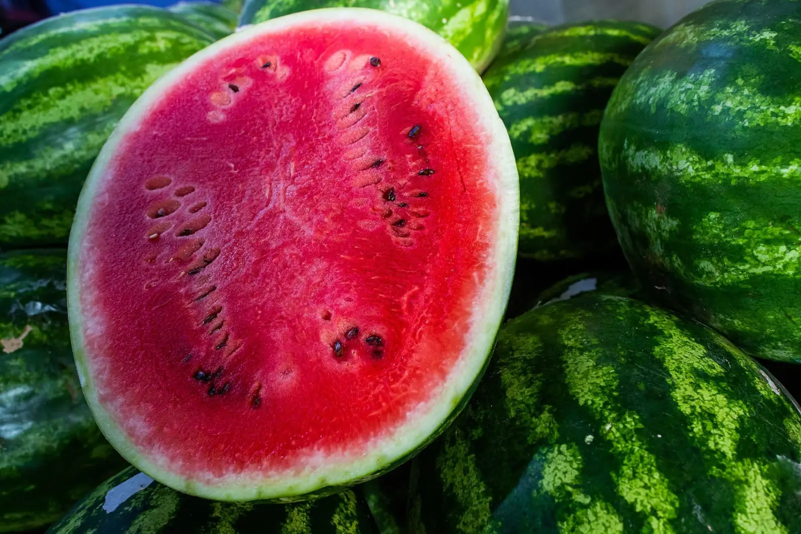 A melancia brasileira conquista mercados, bate recordes de exportação e projeta o agro nacional como referência global em produtividade e qualidade.