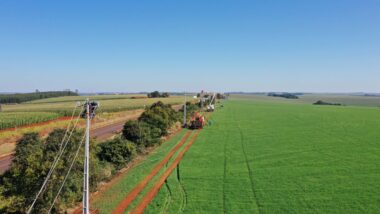 Energia para o campo: o programa Paraná Trifásico levou redes mais potentes e estáveis ao meio rural, ampliando a capacidade produtiva da agroindústria e fortalecendo o desenvolvimento regional no Paraná.