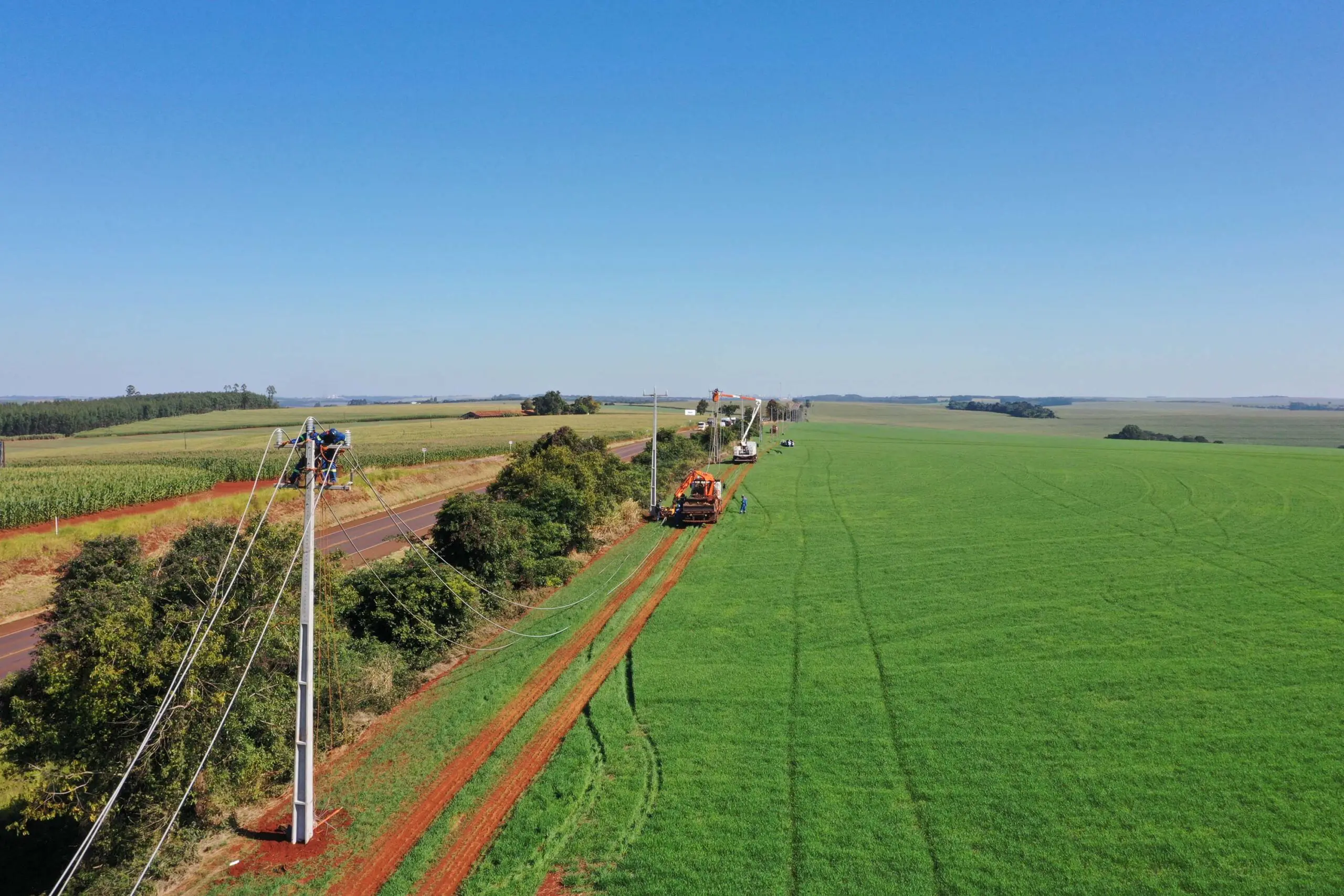 Energia para o campo: o programa Paraná Trifásico levou redes mais potentes e estáveis ao meio rural, ampliando a capacidade produtiva da agroindústria e fortalecendo o desenvolvimento regional no Paraná.
