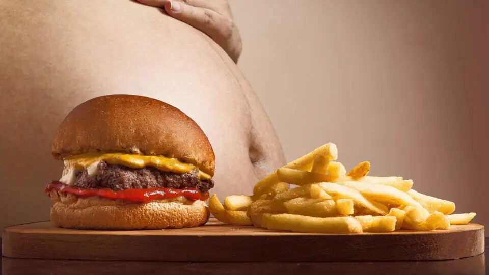 Estudo revela que dietas gordurosas tornam células do fígado imaturas, facilitando o surgimento de câncer
