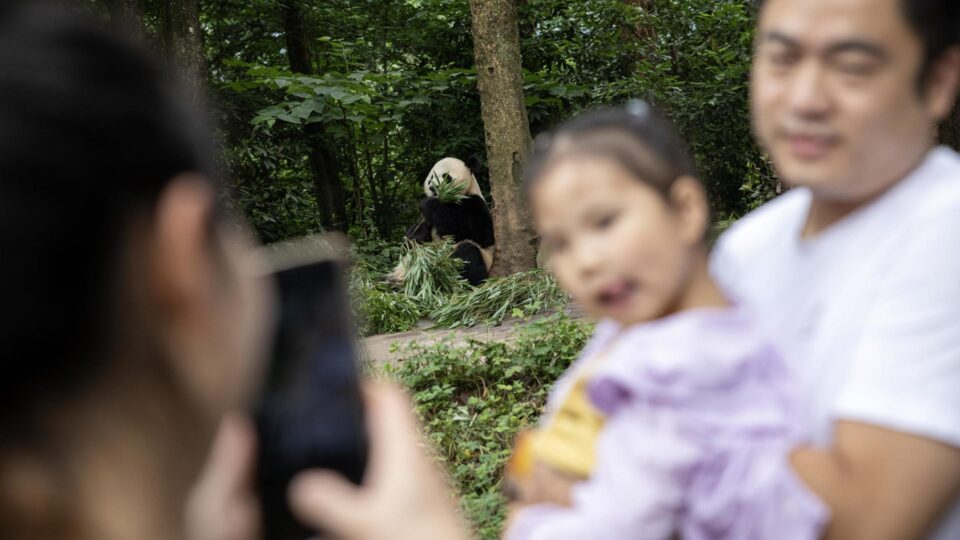 Chineses pagarão mais caro por contraceptivos e mais barato por creches a partir de 2026