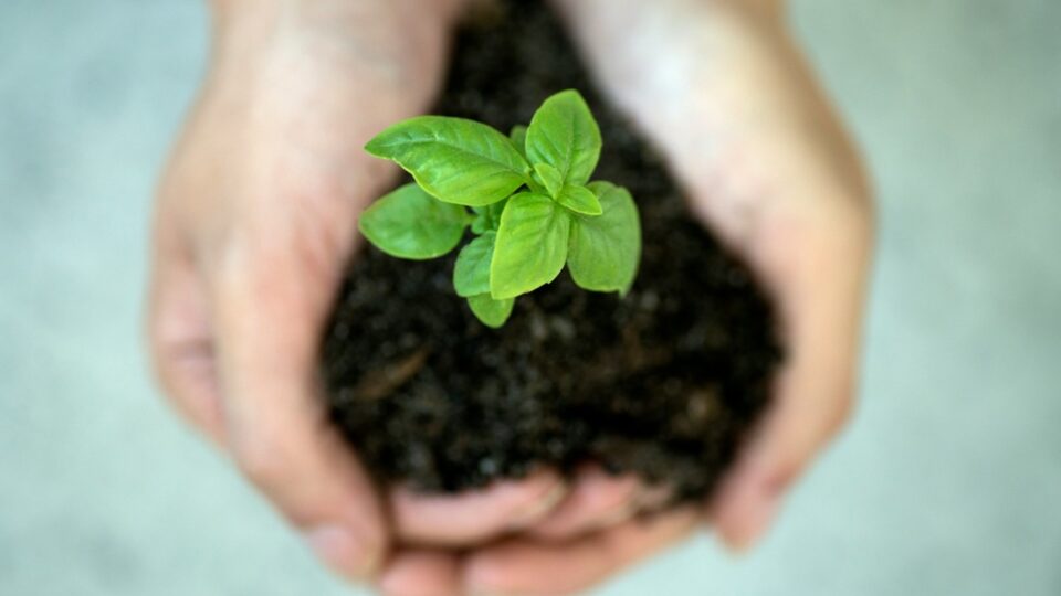 Rumo a uma cadeia de suprimentos sustentável: falta muito?