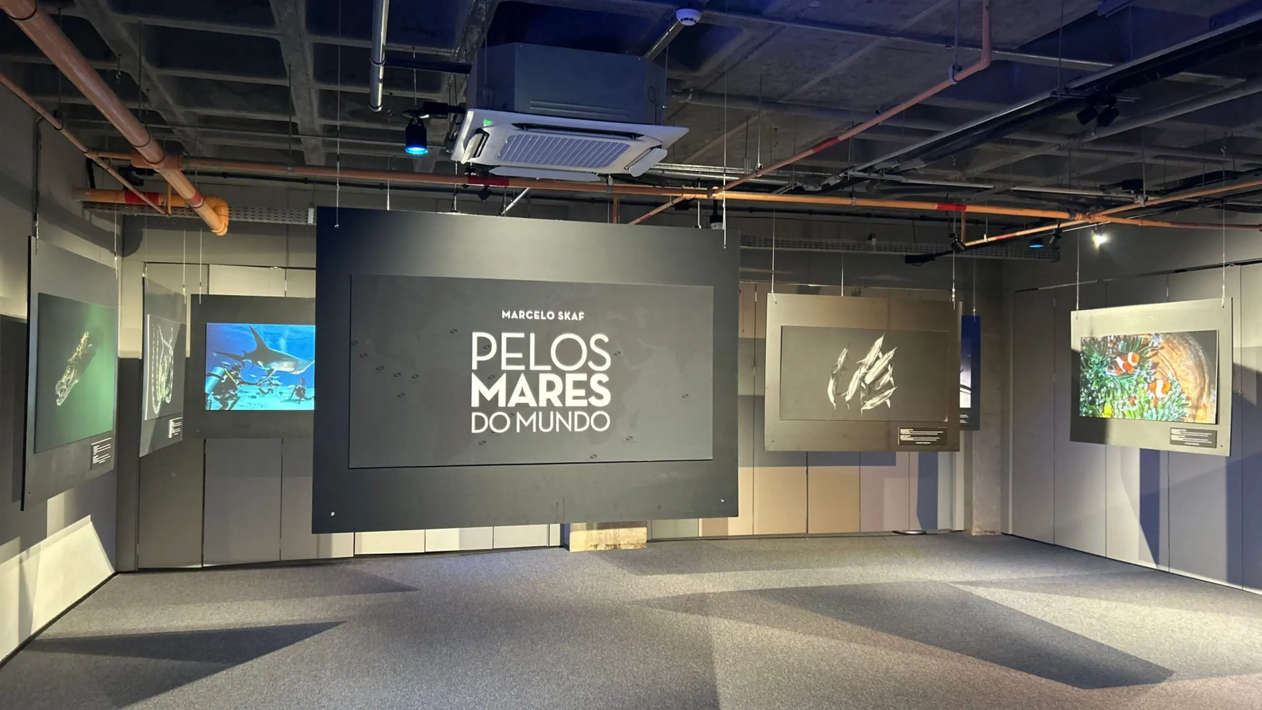 Trabalho de Marcelo Skaf integra arte e ciência em uma experiência imersiva sobre a vida nos oceanos.