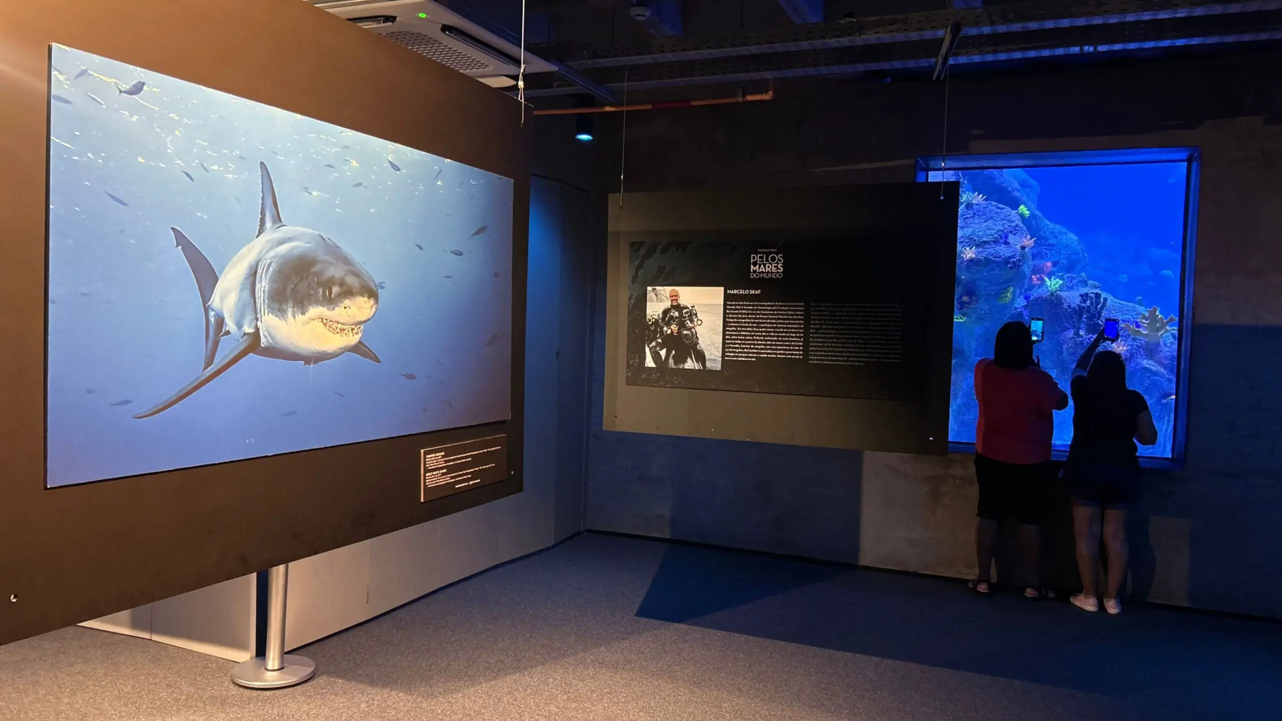 Exposição Pelos Mares do Mundo 2 possibilita uma imersão pelos cinco oceanos sem sair de Foz do Iguaçu.