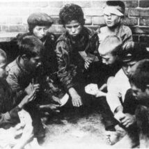 Imagem referente a matéria