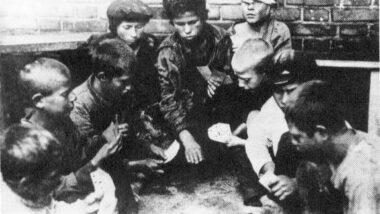 Imagem referente a matéria