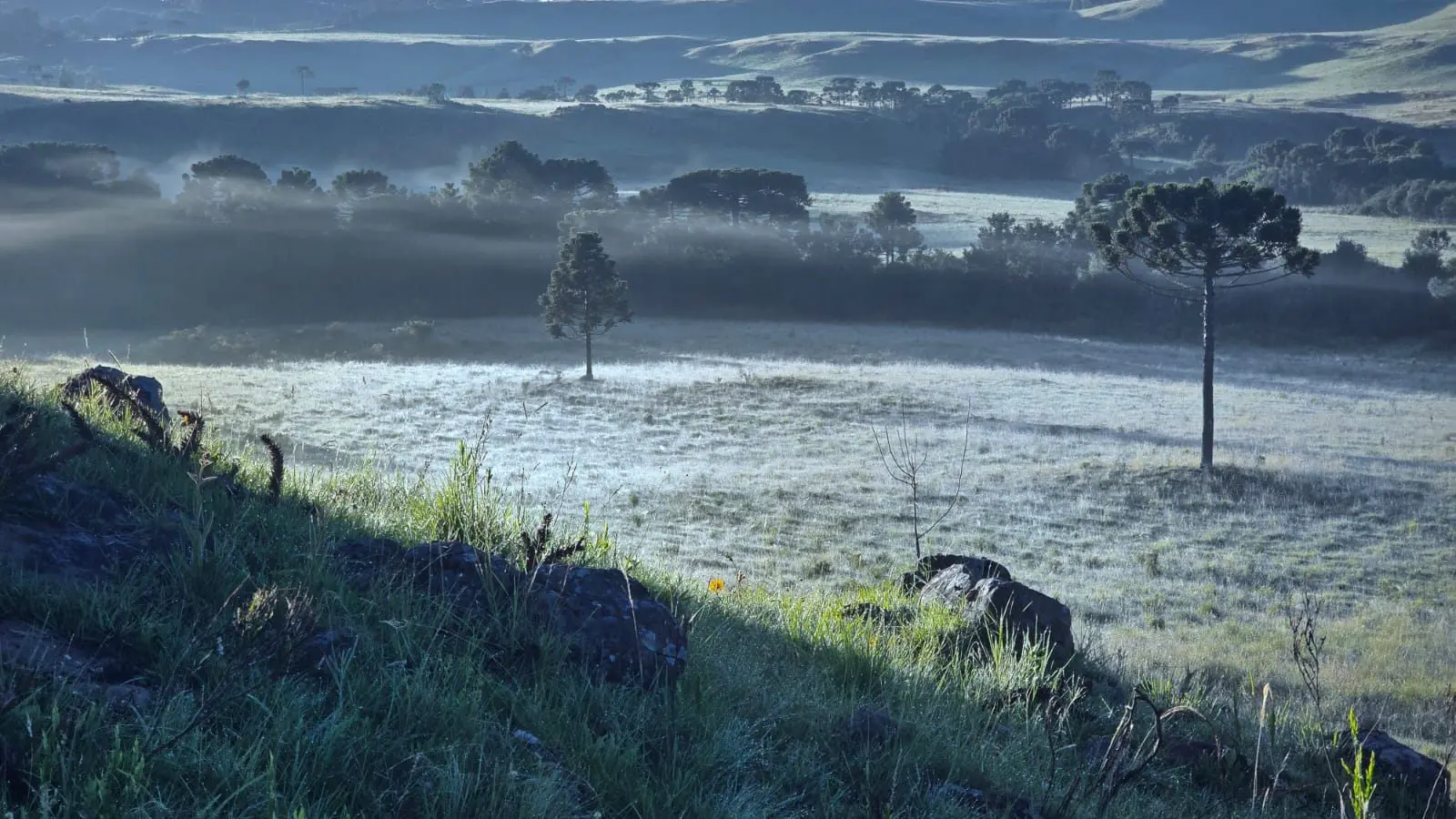 Geadas em janeiro na Serra Catarinense viram atração e impulsionam o turismo fora da temporada de inverno.