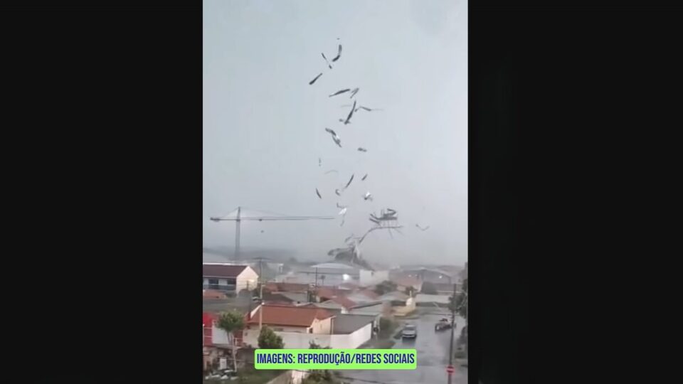 Tornado atinge São José dos Pinhais, na região metropolitana de Curitiba
