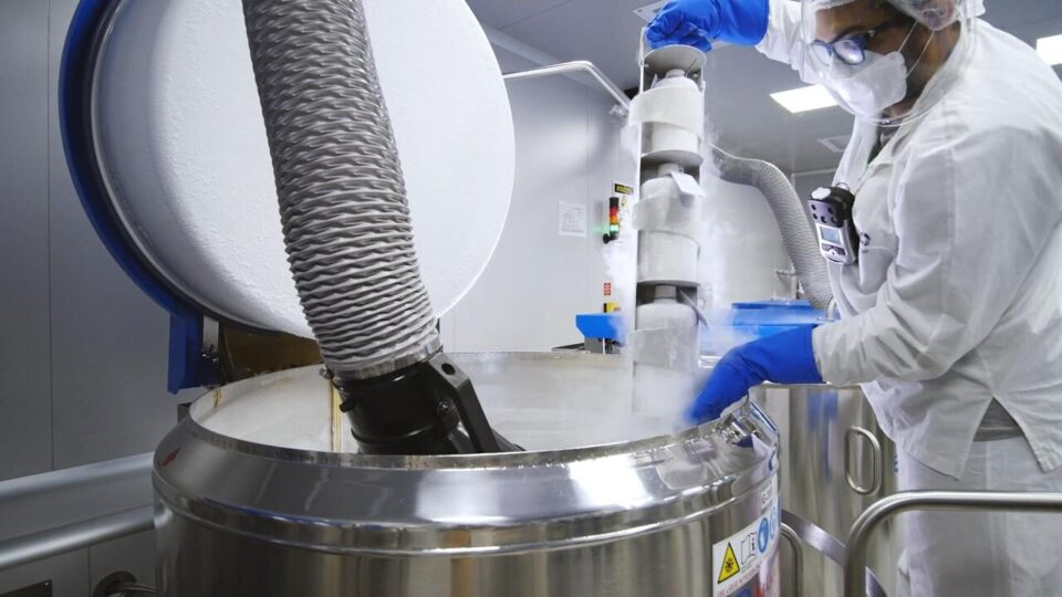 Paraná lidera estratégia nacional com banco de antígenos e vacinas contra febre aftosa