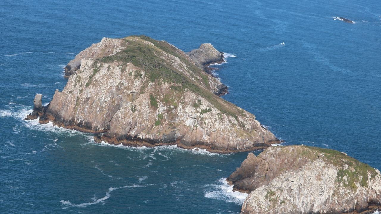 Arquipélago de Moleques do Sul, a cerca de 10 quilômetros da costa de Santa Catarina, abriga a única população do preá-de-Moleques-do-Sul, o mamífero com a menor distribuição geográfica do planeta.