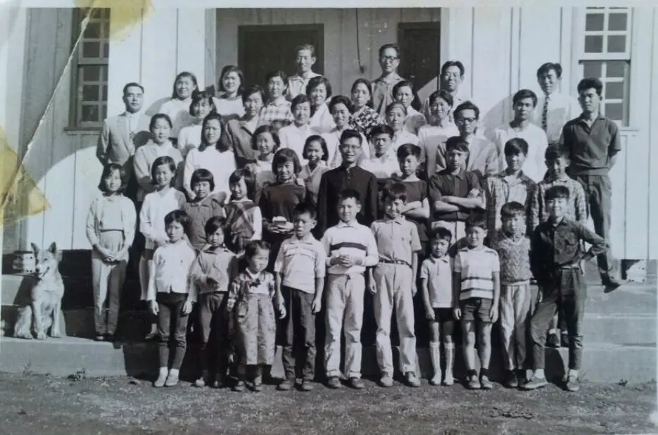 Os primeiros imigrantes coreanos se estabeleceram no Brasil em 1966.