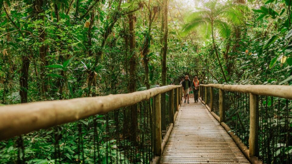 O que fazer com as crianças no litoral do Paraná durante o verão