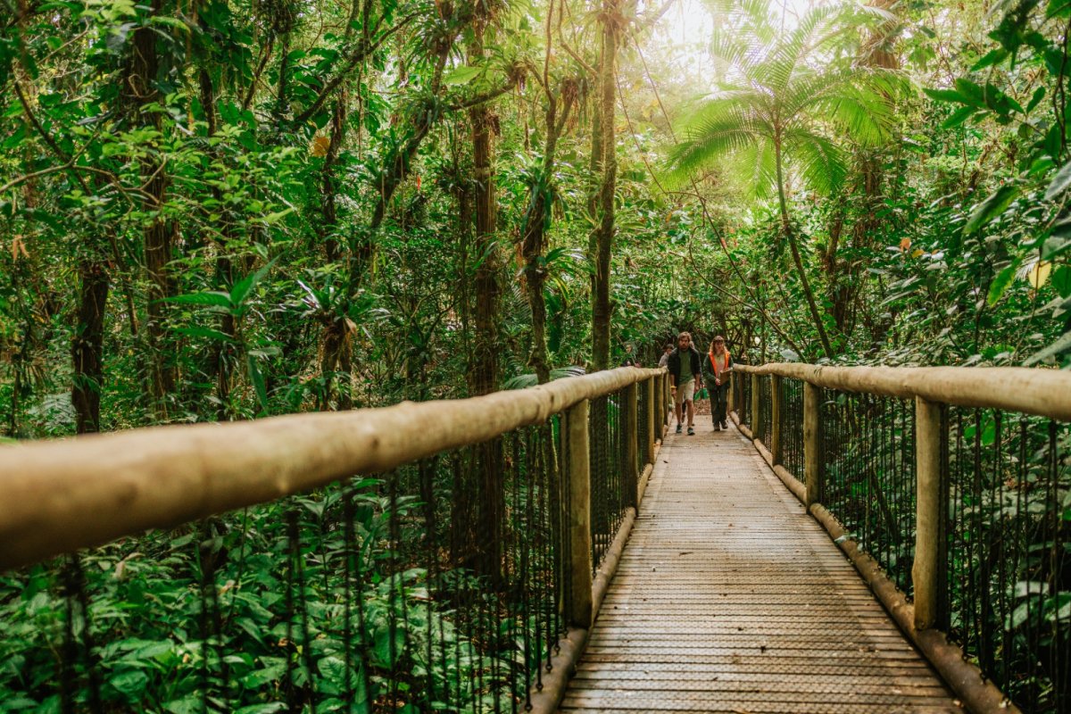 Ekôa Park tem trilhas e atividades em plena Mata Atlântica.