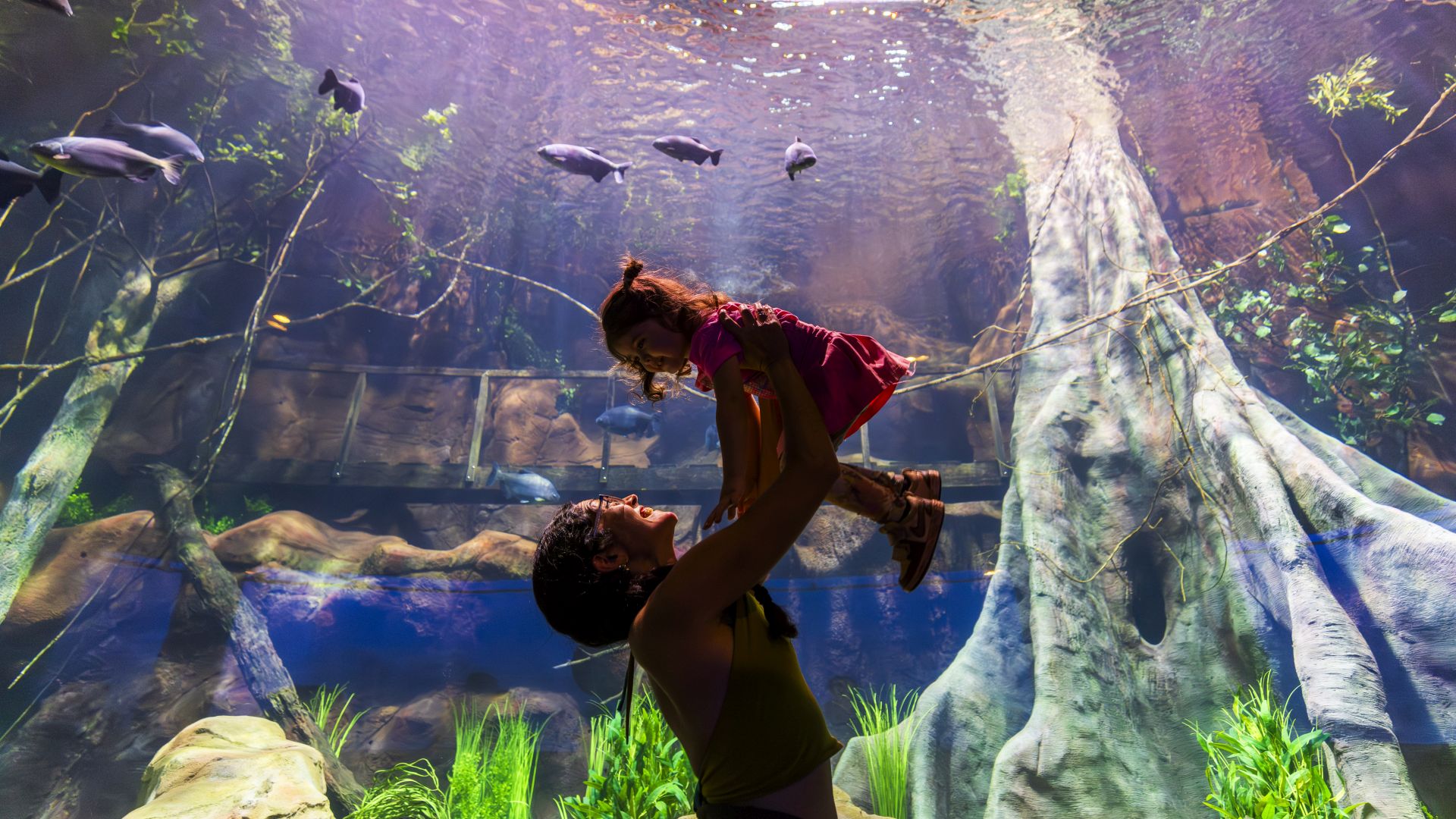 Ambiente imersivo do AquaFoz simula a transição dos rios ao oceano, unindo engenharia e tecnologia em uma experiência panorâmica da vida aquática.