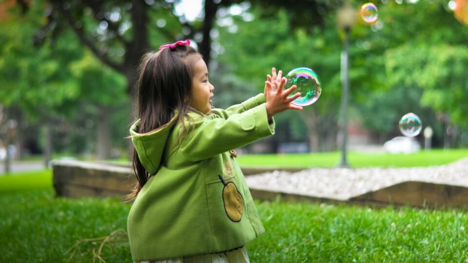 O lugar da escola diante da emergência climática