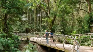 Passeios Foz do Iguaçu