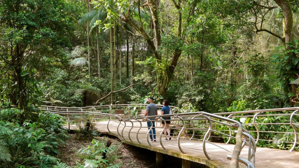 5 passeios em Foz do Iguaçu para além das Cataratas