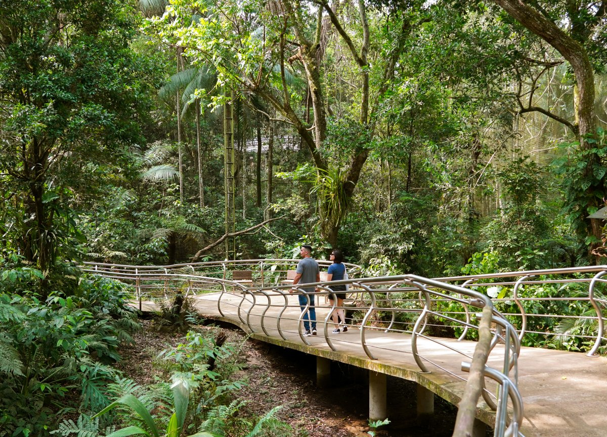 Parque das Aves é um dos passeios imperdíveis em Foz do Iguaçu.