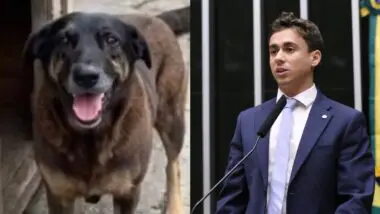 Após repercussão, Nikolas fala sobre agressão a Orelha, que levou à morte do animal.