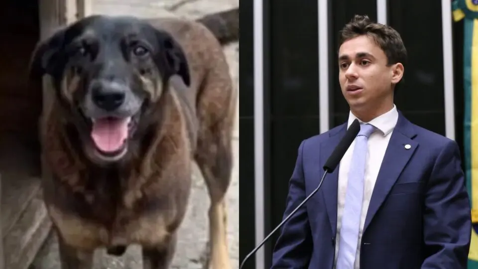 Após repercussão, Nikolas fala sobre agressão a Orelha, que levou à morte do animal.