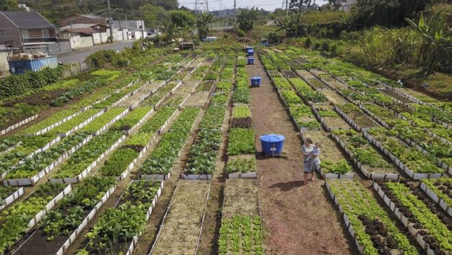 Curitiba entra na disputa para sediar conferência da FAO