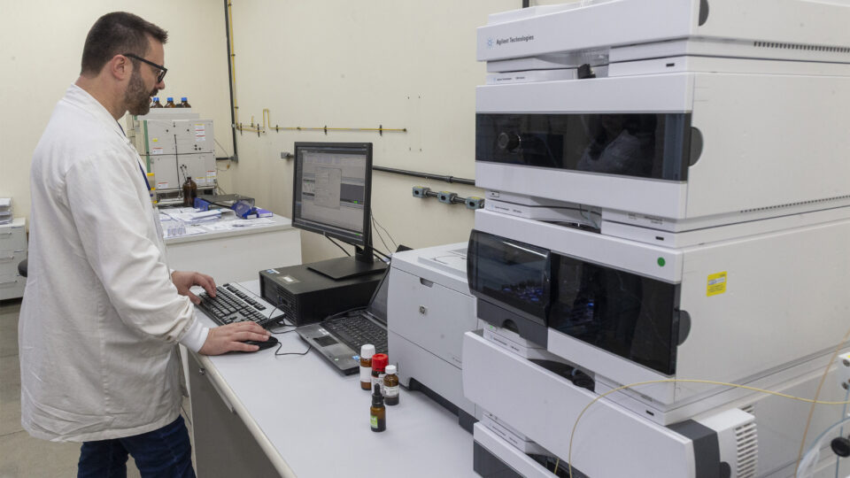 Plataforma do Tecpar vai qualificar o uso da cannabis medicinal no SUS com base em dados clínicos