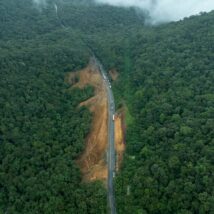 Imagem referente a matéria