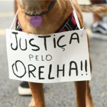 Imagem referente a matéria