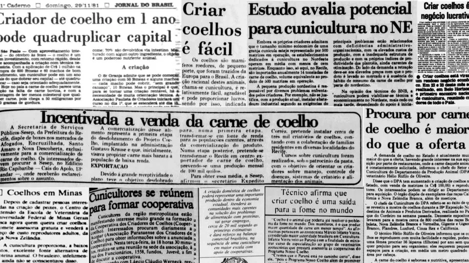 Recortes de jornais de várias regiões do Brasil na década de 1980 mostram aumento do interesse pela criação de coelho