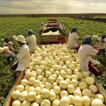 Imagem referente a matéria