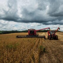 Imagem referente a matéria