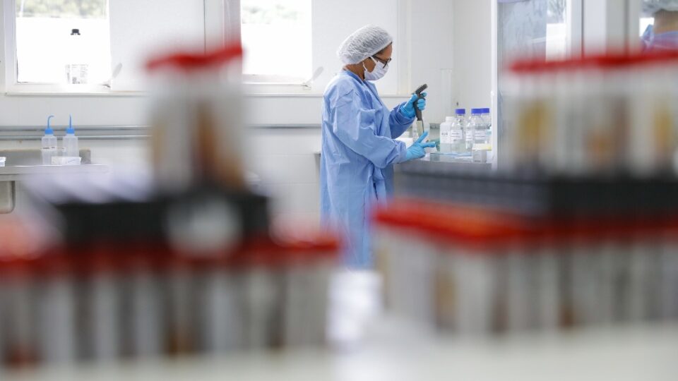 Sem amparo legal, reprodução assistida com gametas doados cria riscos silenciosos