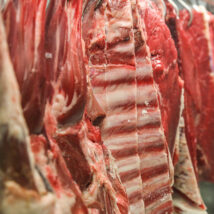 Imagem referente a matéria